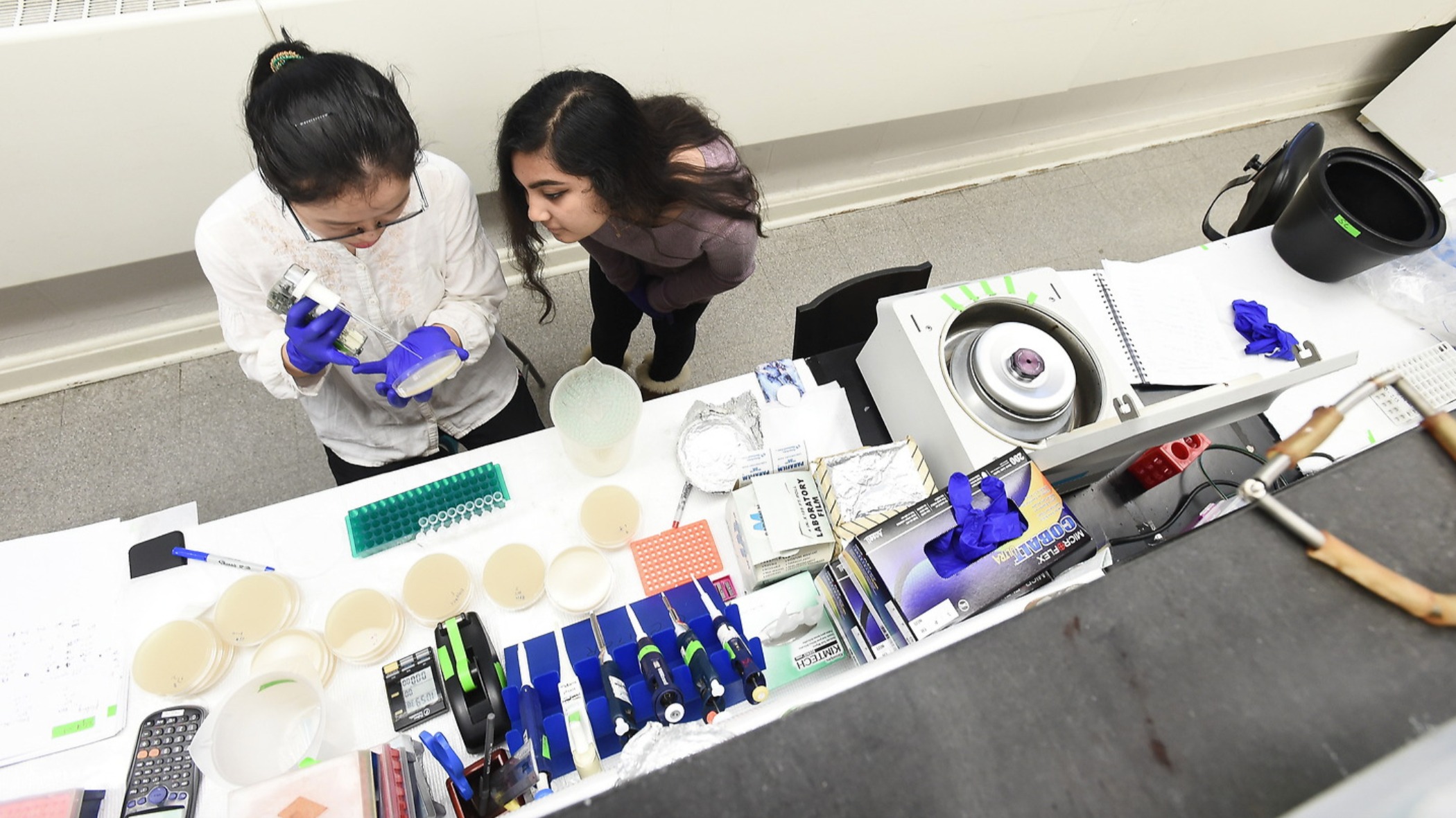 Two students doing lab research